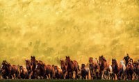 159 - TEN THOUSAND STEEDS GALLOP - YANG SHENGHUA - china <div